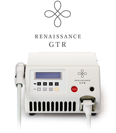 ルネッサンスGT-R