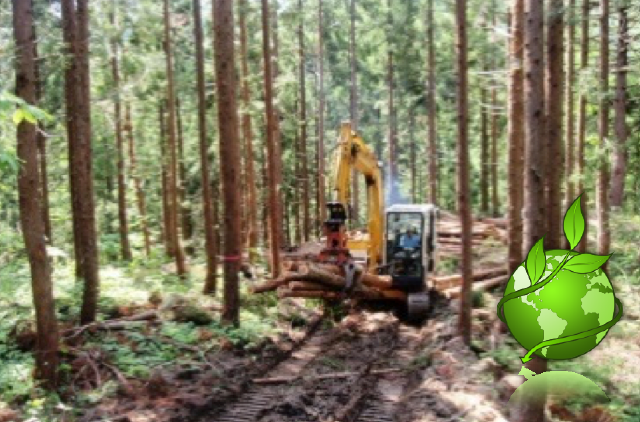 カーボンオフセット